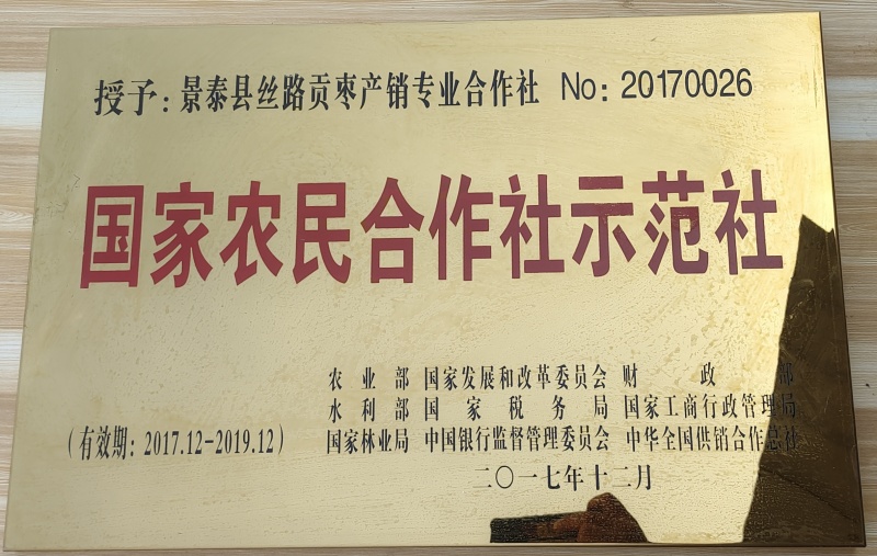鸡蛋大枣山东热销红枣鲜枣脆枣特有大品种
