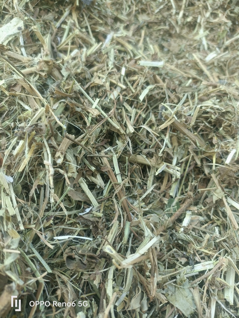 花生秧