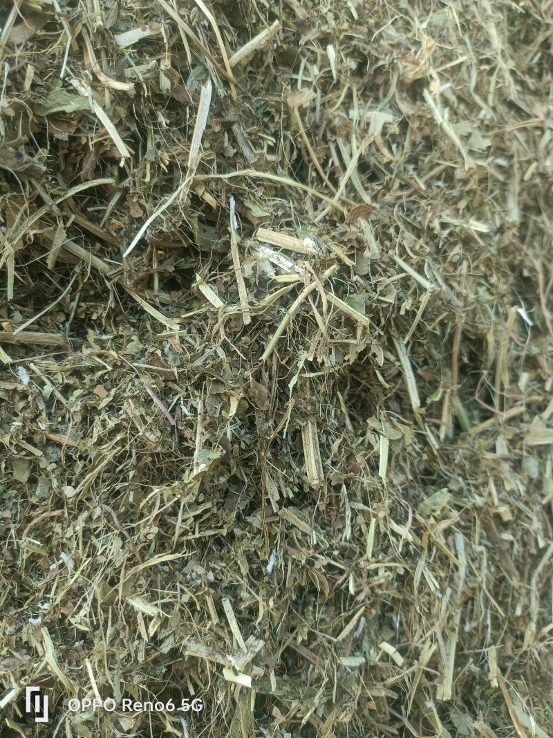 花生秧