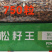 松子东北松子