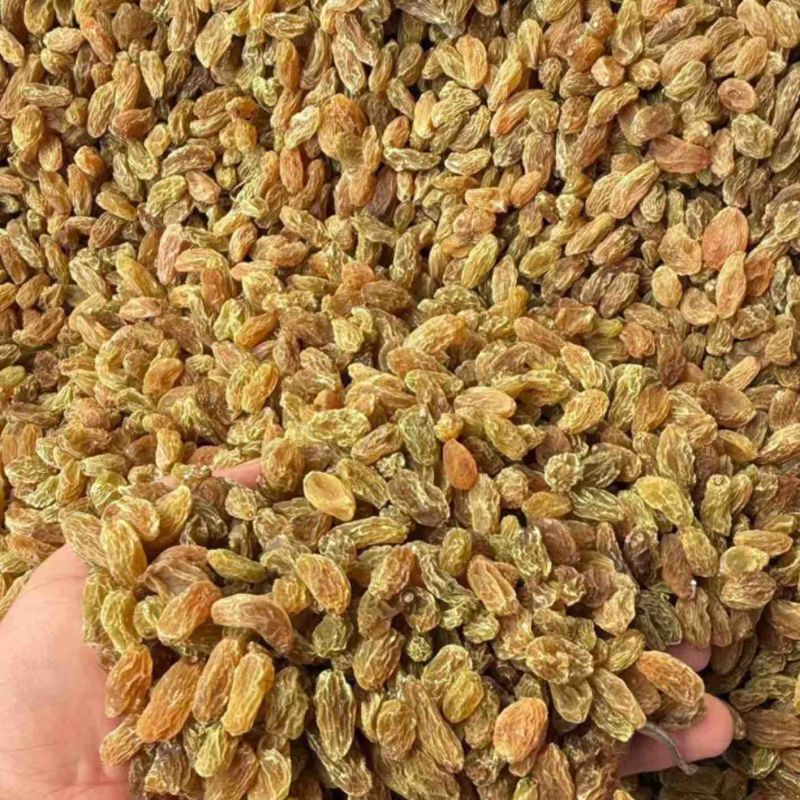麻子儿葡萄干，品质保证，可视频看货，欢迎客商来电咨询