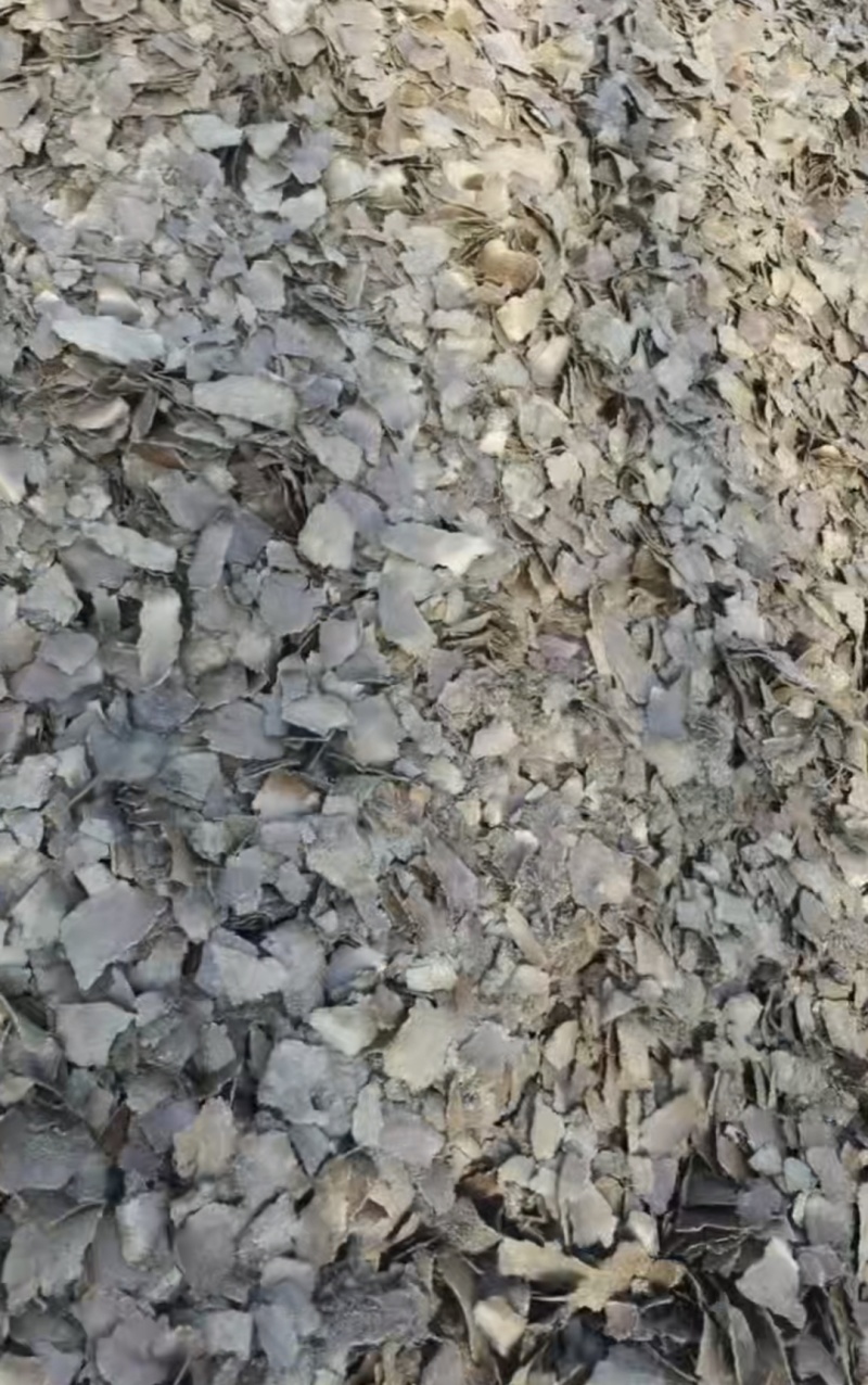 油葵饼