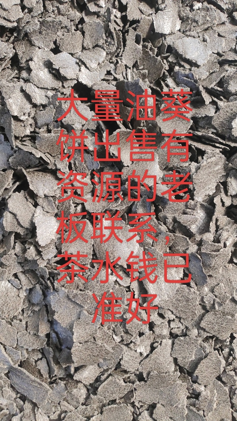 油葵饼