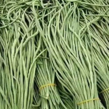 豆角产地发货量大优惠规格齐全欢迎咨询