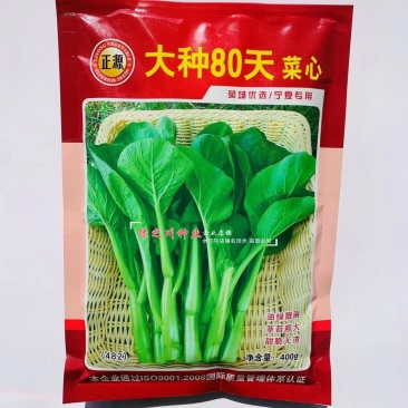 正源大种80天菜心种子粗大油绿甜脆广东菜心种子菜场优选