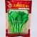 正源大种80天菜心种子粗大油绿甜脆广东菜心种子菜场优选