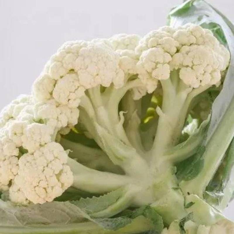 花菜产地发货量大优惠规格齐全欢迎咨询