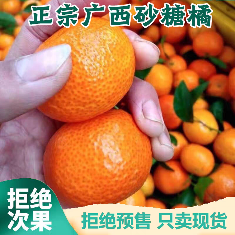 【热卖】沙糖桔/贺州钟山沙糖桔/产地货源/供应市场电商