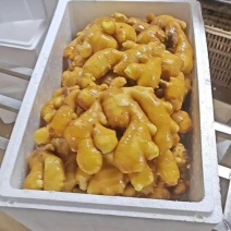 【优质大黄姜】电商，市场商超货，常年供应保质保量坏烂包赔