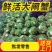 苏州精品大闸蟹批发、团购代发，酒店，蟹侬自产自销，散装