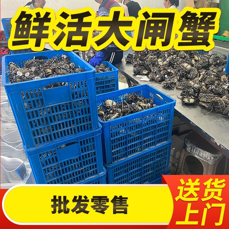 苏州精品大闸蟹批发、团购代发，酒店，蟹侬自产自销，散装