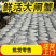 苏州精品大闸蟹批发、团购代发，酒店，蟹侬自产自销，散装