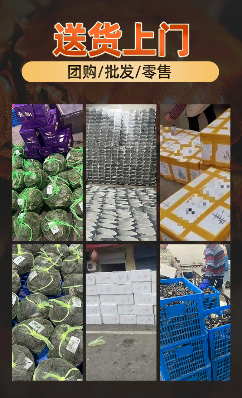 苏州精品大闸蟹批发、团购代发，酒店，蟹侬自产自销，散装