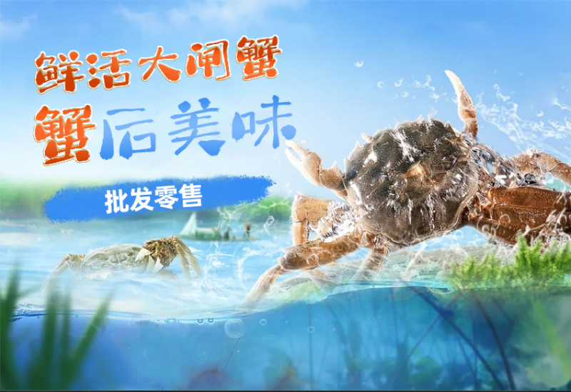 苏州精品大闸蟹批发、团购代发，酒店，蟹侬自产自销，散装
