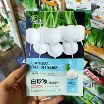 白珍珠樱桃萝卜种子早熟口感脆嫩阳台庭院盆栽四季种植蔬菜种