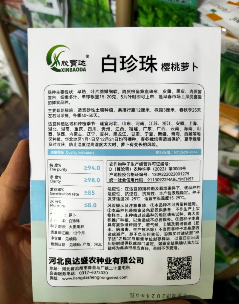 白珍珠樱桃萝卜种子早熟口感脆嫩阳台庭院盆栽四季种植蔬菜种