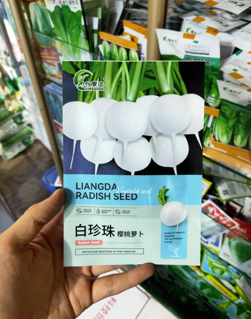 白珍珠樱桃萝卜种子早熟口感脆嫩阳台庭院盆栽四季种植蔬菜种