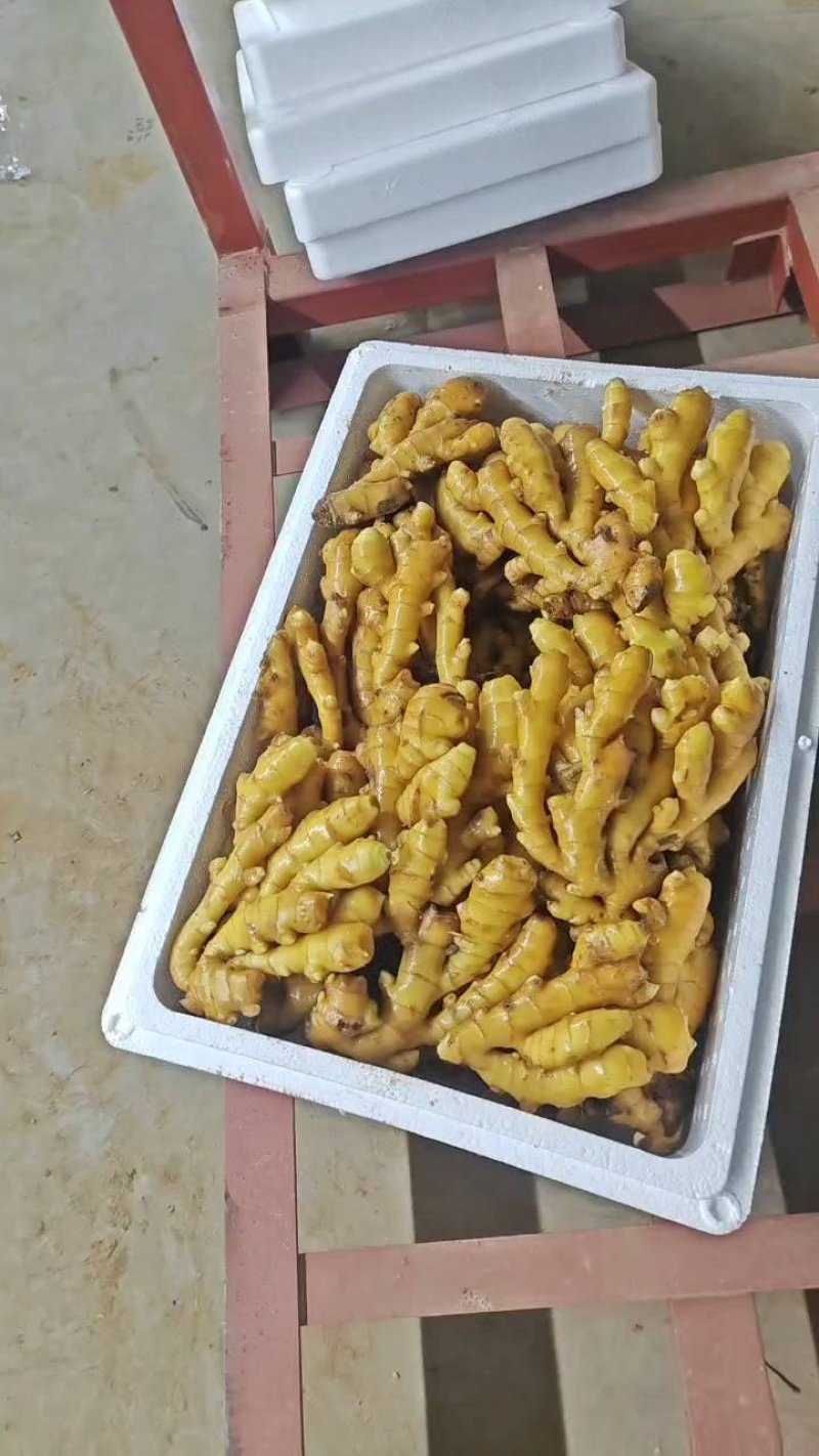 热卖推荐：小黄姜/山东生姜/电商，市场，商超可全国供应发