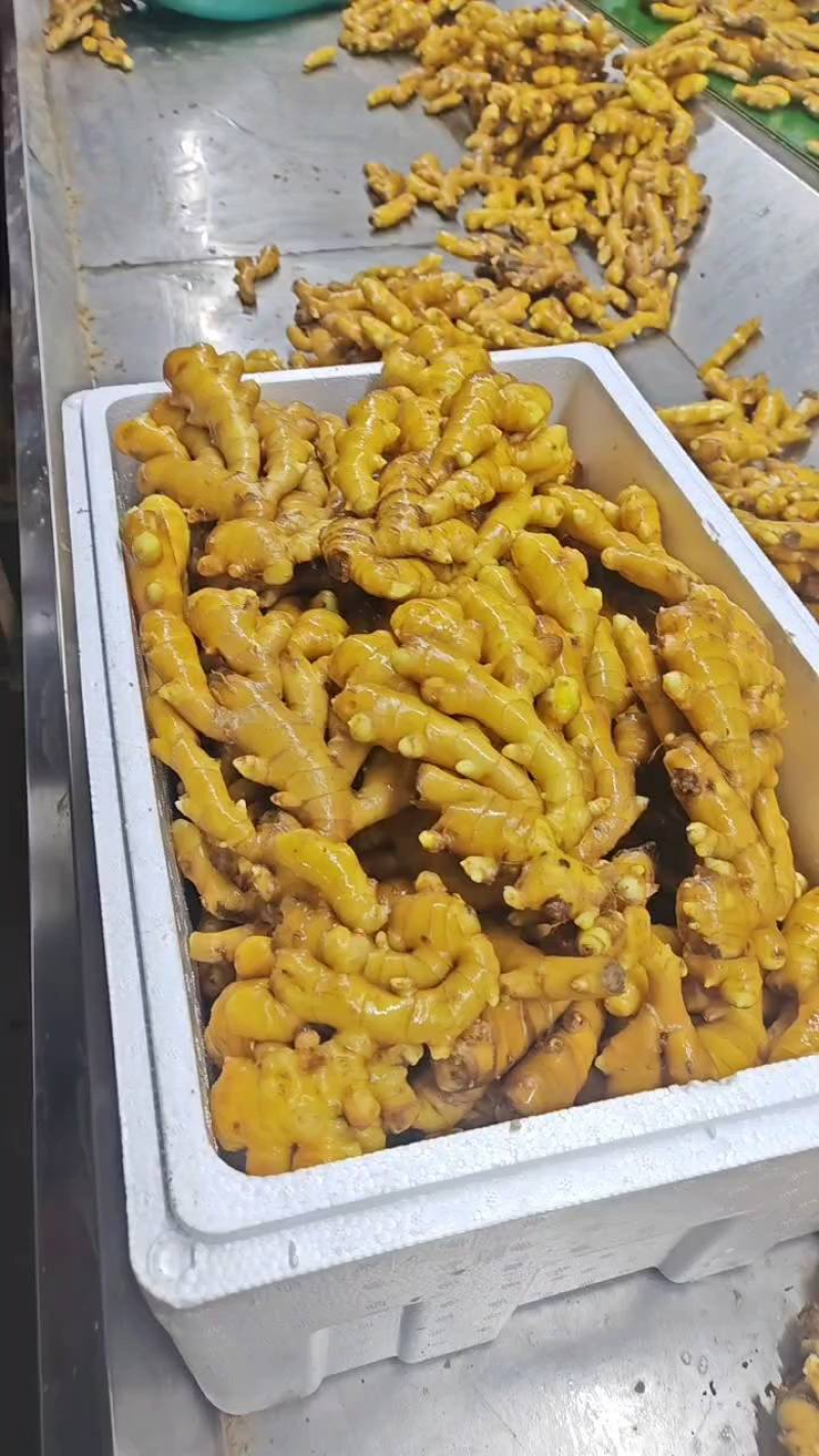 热卖推荐：小黄姜/山东生姜/电商，市场，商超可全国供应发