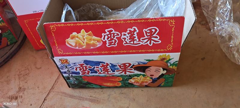 彩箱雪莲果。场地代办