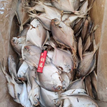 鲳鱼干，深海鲜鱼低盐造，高空晾晒环境好，卫生健康味道美！