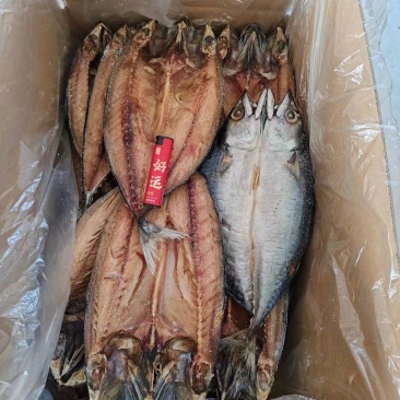 鲐鲅干，深海鲜鱼低盐造，高空晾晒环境好，卫生健康味道美