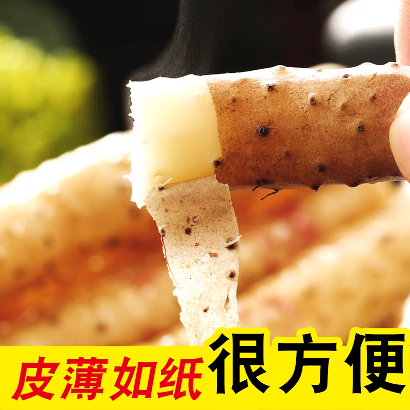 【山药】河北山药/小白嘴山药/产地批发/自家种植