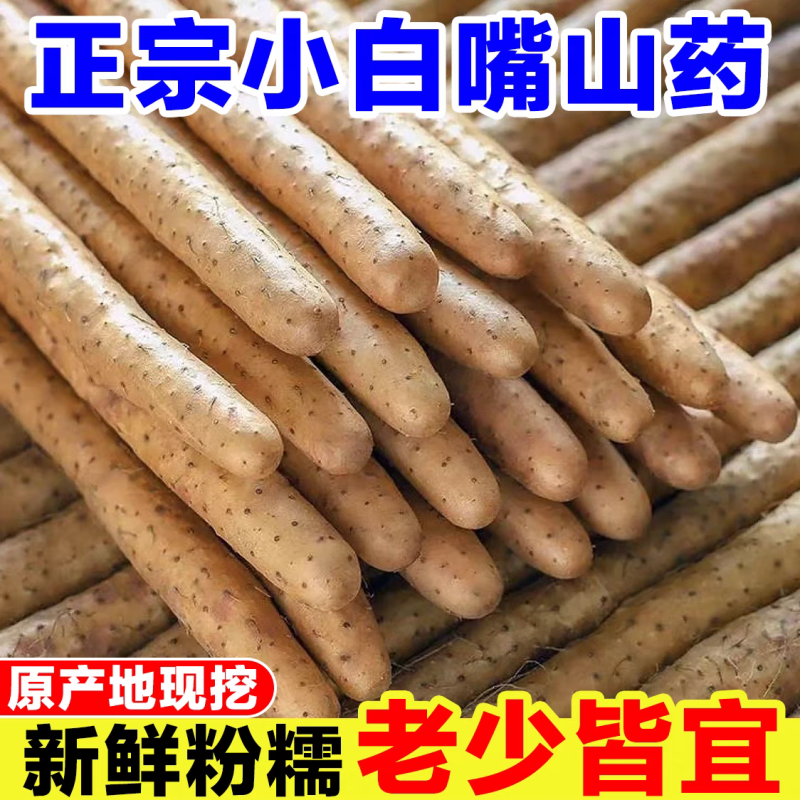 【山药】河北山药/小白嘴山药/产地批发/自家种植