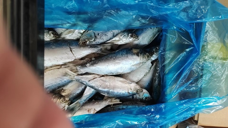 鱼干，海鲫鱼干鲜鱼低盐造，高空晾晒环境好，卫生健康味道美