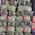 辽宁豆王，新开园的，暖棚豆角，货量大，天天有货