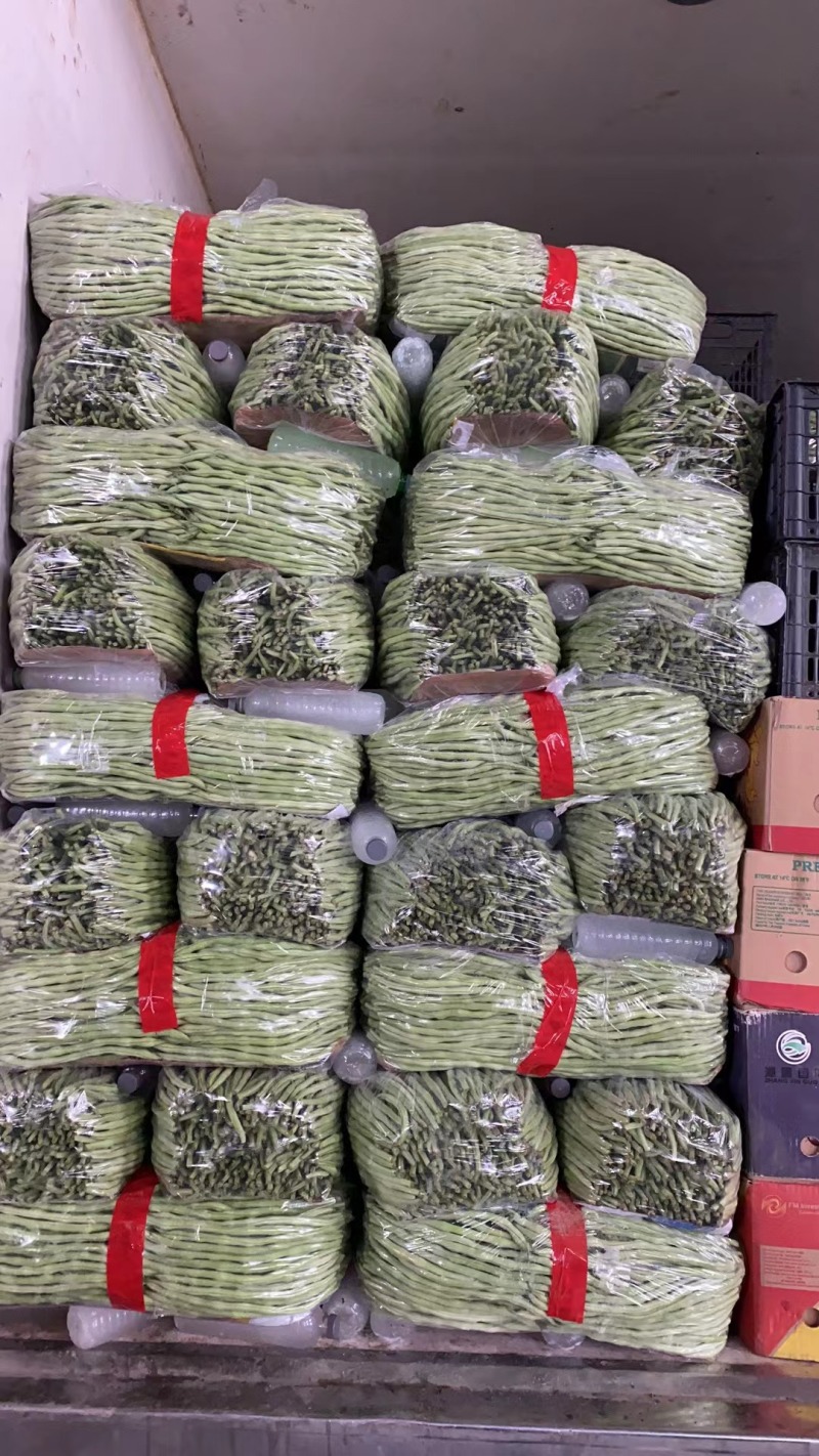 辽宁豆王，新开园的，暖棚豆角，货量大，天天有货