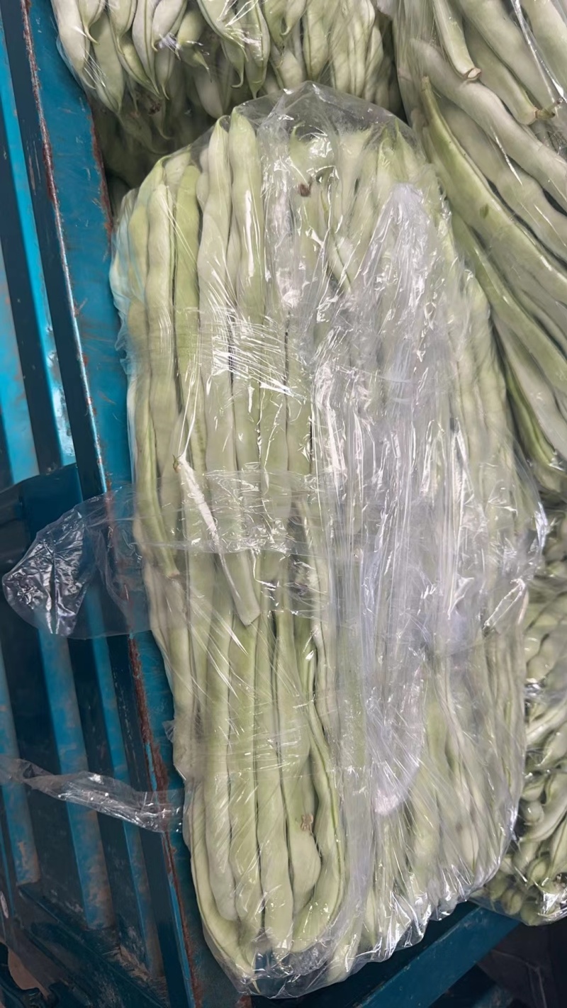 辽宁豆王，新开园的，暖棚豆角，货量大，天天有货