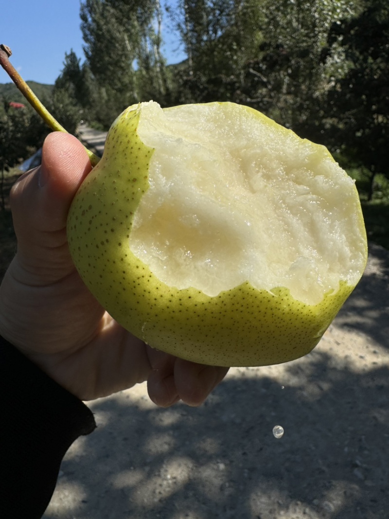 雪花梨