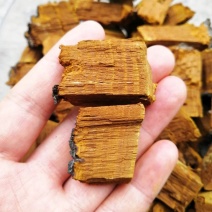 桑黄切片