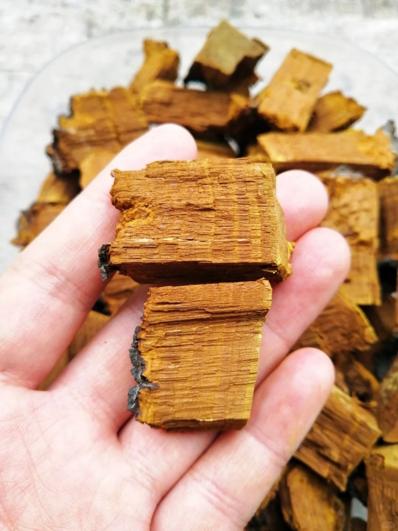 桑黄切片