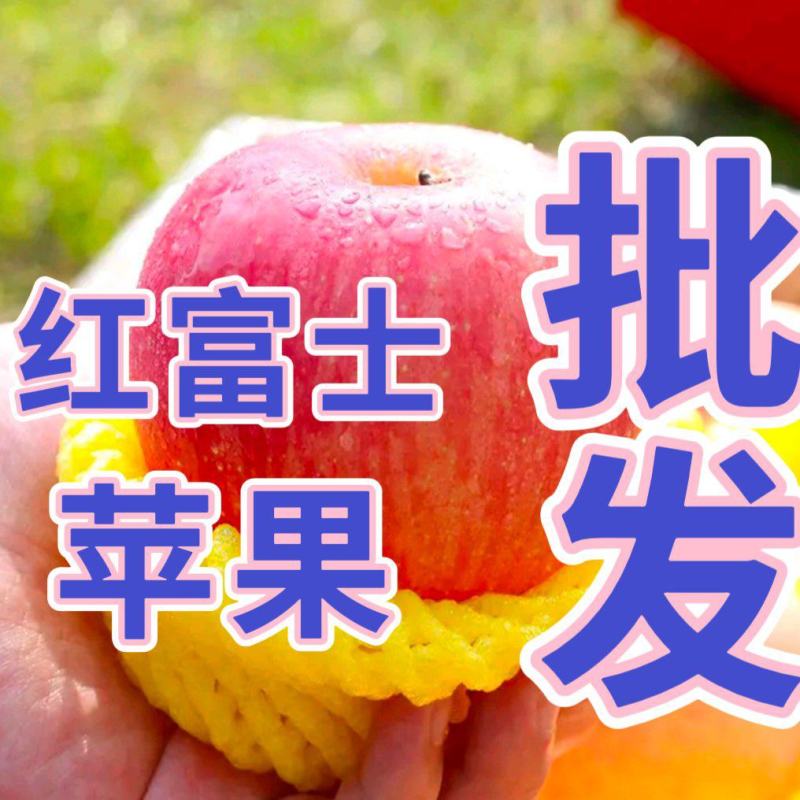 主营：《电商货，市场货》一件代发，冷库苹果低价出售