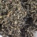 精品水洗梅干菜，无沙，高杆白，水洗无沙