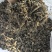 精品水洗梅干菜，无沙，高杆白，水洗无沙