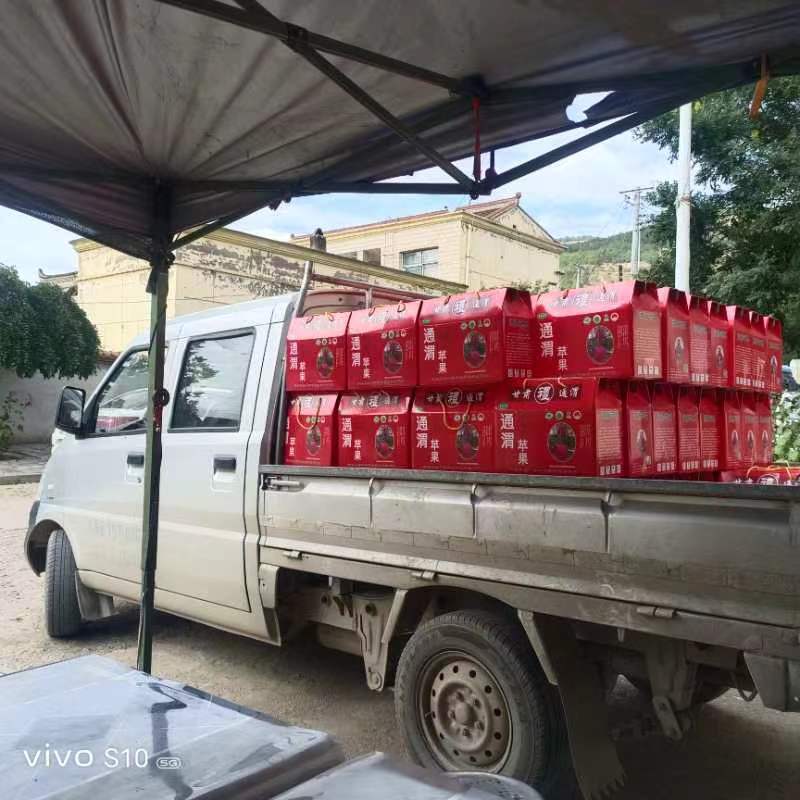 静宁鲜果富士售买耐储运