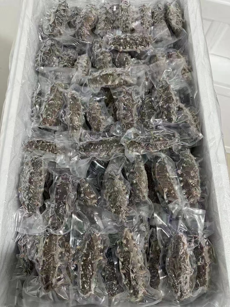 国标高压鲜食鲜蒸海参开袋即食送礼自用海水产店商超酒店