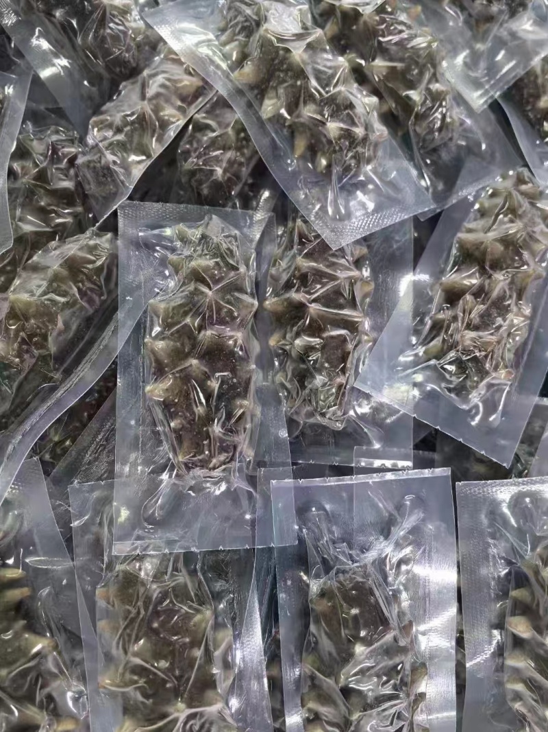国标高压鲜食鲜蒸海参开袋即食送礼自用海水产店商超酒店