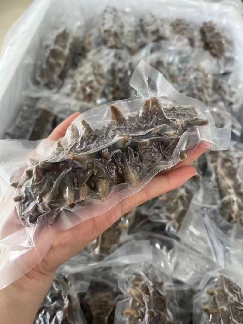 国标高压鲜食鲜蒸海参开袋即食送礼自用海水产店商超酒店