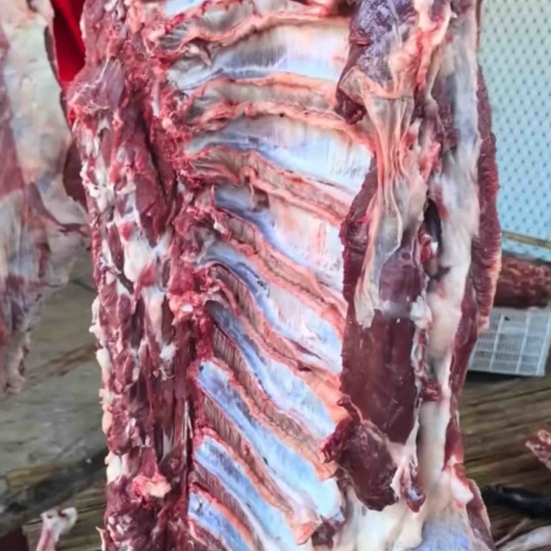 牛肉