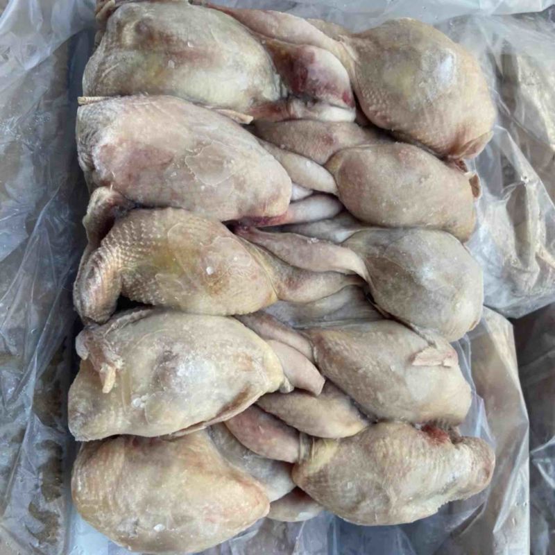 放血大鹌鹑，半净膛，一件100只，28-30斤，工厂直销