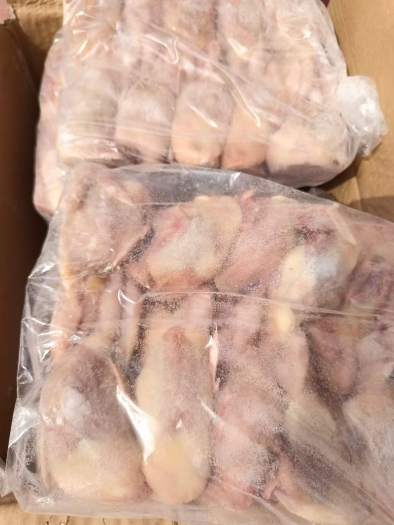 放血大鹌鹑，半净膛，一件100只，28-30斤，工厂直销