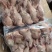 放血大鹌鹑，半净膛，一件100只，28-30斤，工厂直销