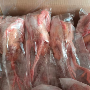 乳鸽，规格齐全，半净膛，工厂直销，全国冷链物流发货！！！
