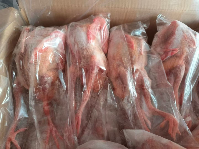 乳鸽，规格齐全，半净膛，工厂直销，全国冷链物流发货！！！