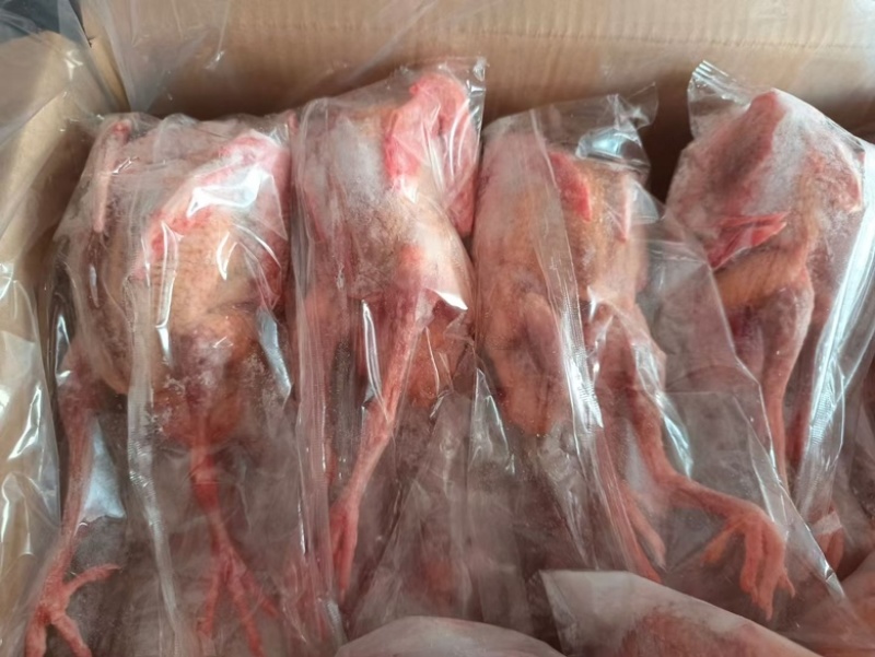 乳鸽，规格齐全，半净膛，工厂直销，全国冷链物流发货！！！