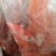 乳鸽，规格齐全，半净膛，工厂直销，全国冷链物流发货！！！